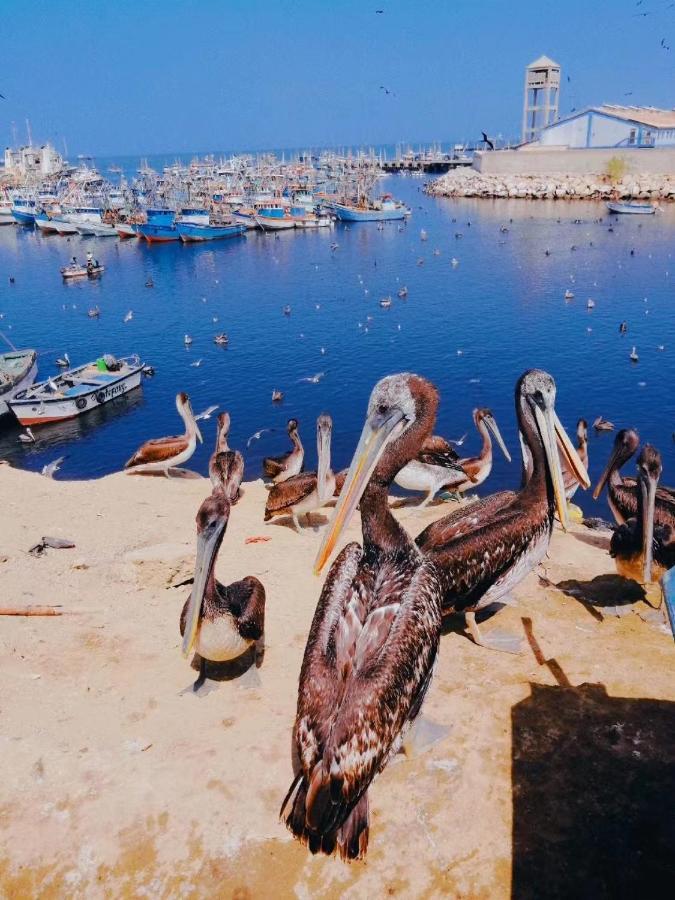 فندق Casa تالارا المظهر الخارجي الصورة